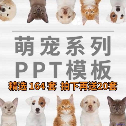 萌宠物系列PPT模板素材宠物医院行业猫狗小动物卡通可爱动态